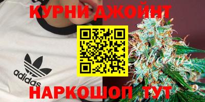 дурь Тара