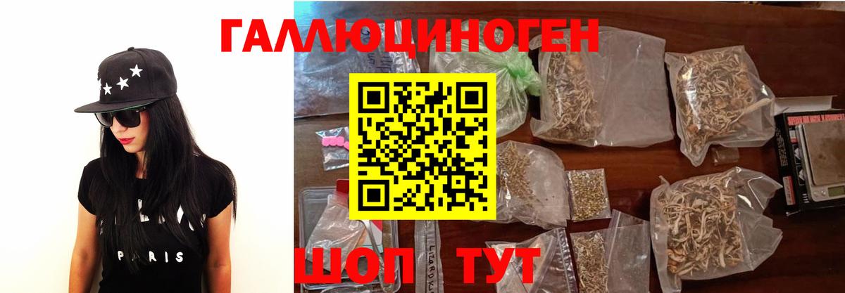 Галлюциногенные грибы Psilocybe  Вход с VPN  Новочебоксарск 